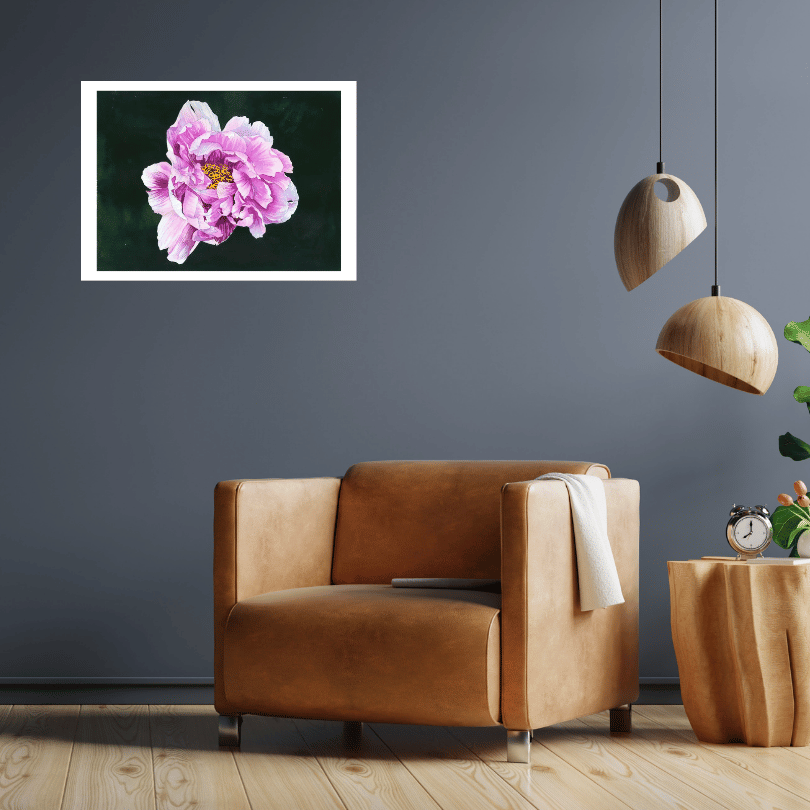 peony — Poster Art Prints