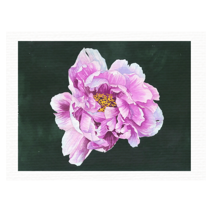 peony — Canvas Art Prints