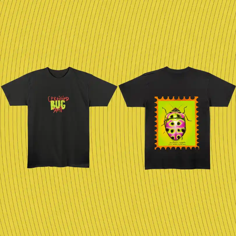 Shield Backed Jewel Bug — T-Shirts