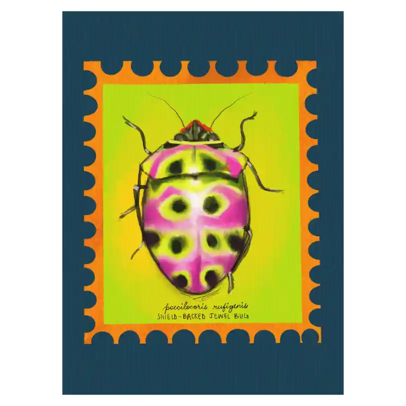 Shield Backed Jewel Bug — Canvas Art Prints