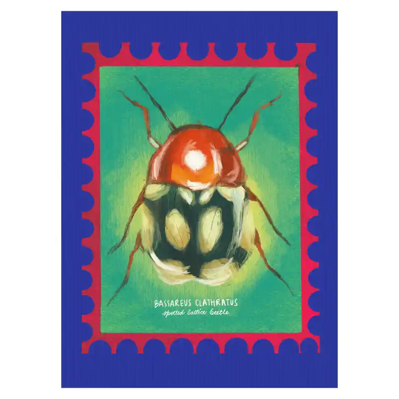 Spotted Lattice Beetle — Canvas Art Prints