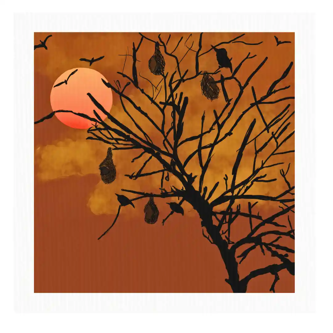 sunset tree — Canvas Art Prints