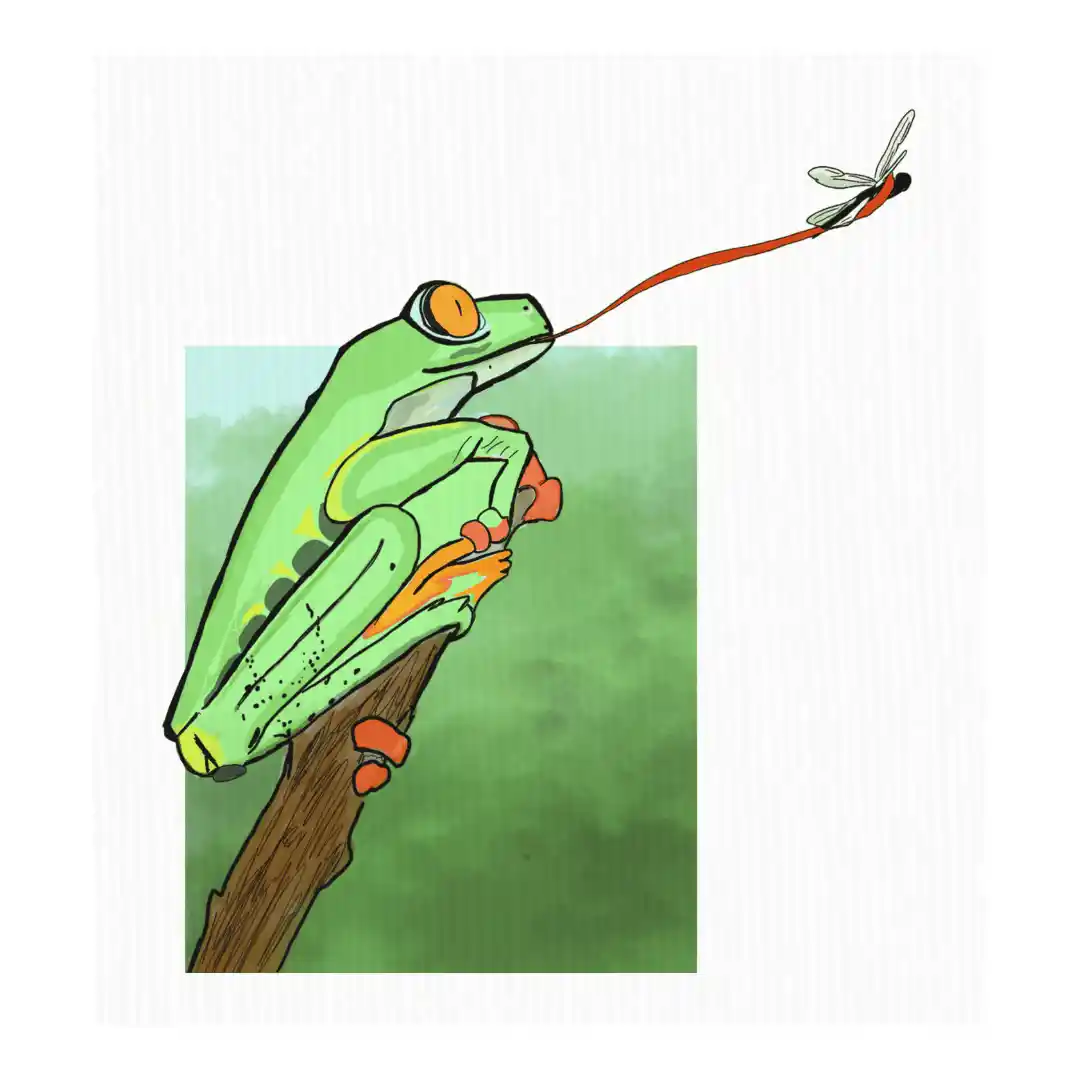 tree frog — Canvas Art Prints